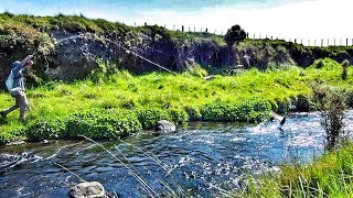 Fishing a SMALL Stream For BIG Browns [Dry Fly]