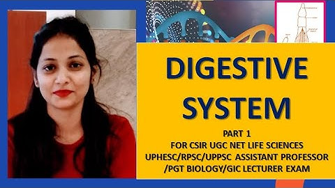 Digestive system | Part 1 | CSIR NET, PGT AND GIC BIOLOGY | UPHESC\RPSC ASST PROFESSOR EXAM