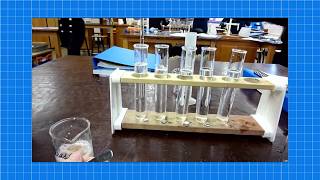 A level Biology ENZYMES REQUIRED PRACTICAL