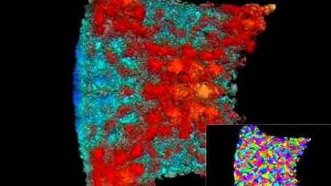 Efficient Visualization of Large Scale Models on Commodity Graphics Platforms