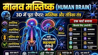 मानव मस्तिष्क (Human Brain) 3D Infographic Notes | सभी परीक्षाओं के लिए महत्वपूर्ण | #biology