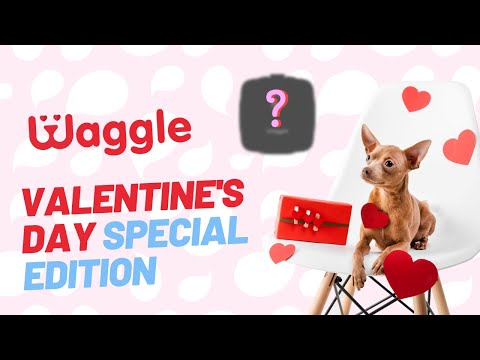 Waggle Valentine's Special Edition | Waggle Pet Monitor