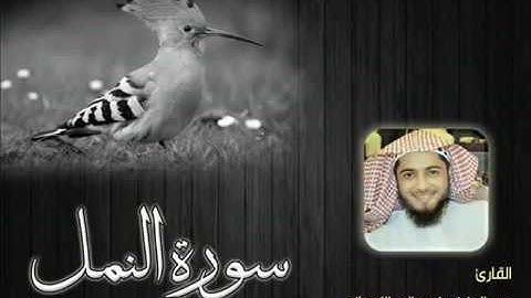 سورة النمل للشيخ عبدالعزيز بن صالح الزهراني ll المصحف كامل من ليالي رمضان HQ 1