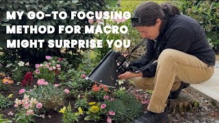 My go-to focusing method for macro might surprise you