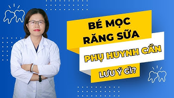 Phụ Huynh Cần Lưu Ý Gì Khi Bé Mọc Răng Sữa? I Nha Khoa Smile HT