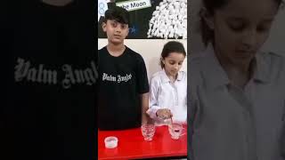 COLOR CHALLENGE! Will the blue dye dissolve in saltwater or freshwater? Watch &amp; learn