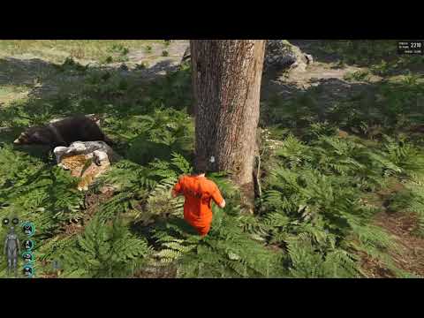 OSOOOO - [ESP/EU] DEENA -AI- MAX LOOT-PVP-ROLPLAYSHOP-PVE