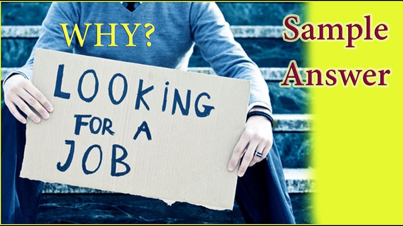 Why Are You Looking For a Job - Sample Answer - YouTube