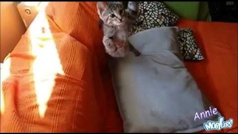 Slow motion Samsung Galaxy S4 (Video compilation) [Samsung Mobilers Greece]