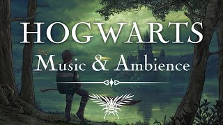 Harry Potter Ambient Music Playlist | Music and Ambiance Beautiful Soundtrack