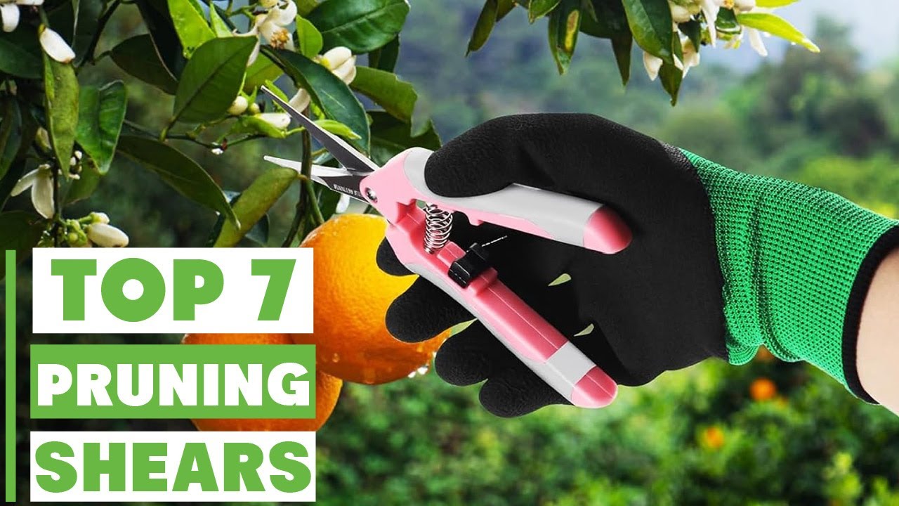 Best Pruning Shears for Clean Cuts | Top Picks for 2025 - YouTube