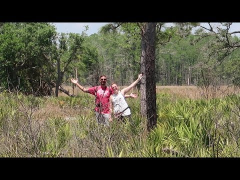 We Went Hiking In The Disney Wilderness Preserve!