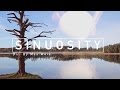 Sinuosity | A Sci-Fi Short Film