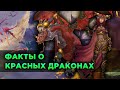 Факты о Красных Драконах в World of Warcraft