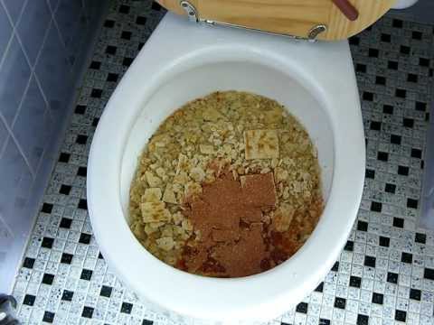Is it safe to flush food (especially rice) down the toilet?