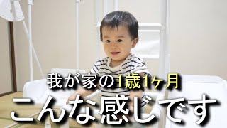 【1歳1ヶ月】言語/歩行/生活リズムは？…意思疎通ができてきて楽しくなってきた‼