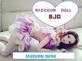 BJD Raccoon Doll Gene Box Opening and Review (Eng)
