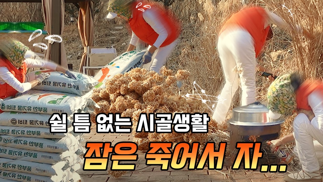 주말마다 시골로 도망가는 이유