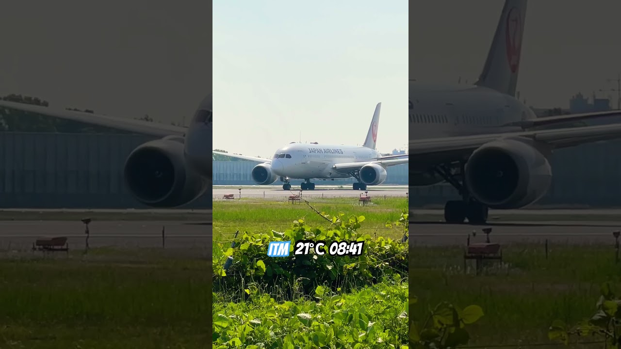 Boeing 787-8 Dreamliner JAL turn Osaka International Airport #jal #boeing787 #turn