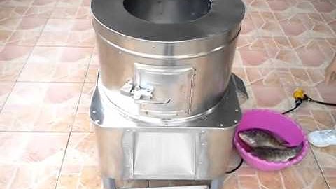 Máy đánh vẩy cá, máy đánh vẩy cá rô, cá diêu hồng, máy đánh vẩy cá, máy ép xương cá , 0909134877