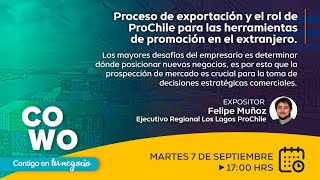 PROCESO DE EXPORTACIÓN Y EL ROL DE PROCHILE PARA LAS HERRAMIENTAS DE PROMOCIÓN EN EL EXTRANJERO