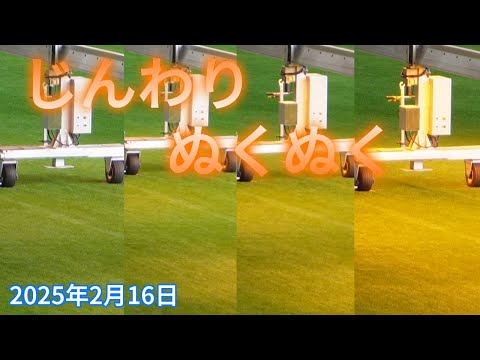 【4K】2025年2月16日 じんわりとグロウライトが点灯 ぬくぬくとした温かさを感じました