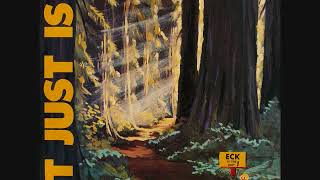 Sri Darwin Gross   It Just Is