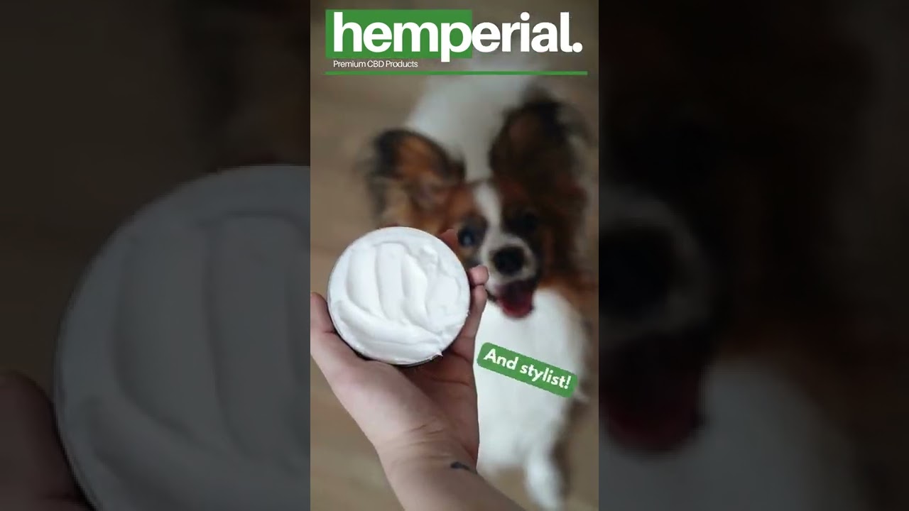 It's time to give our furry friends the best paw forward! 🐾