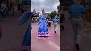 A surprise visit from Fairy Godmother #youtubeshorts #disney #magic #fantasy #disneyworld #youtube