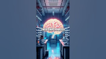 The Rise of Neuromorphic Computing