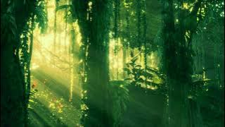 Roger Shah & Ambedo -  Forests (Tribute To Earth Dreamstate Edit)