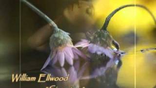 Video thumbnail of "William Ellwood ~ Simpatico"