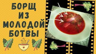 БОРЩ ИЗ БОТВЫ СВЕКЛЫ. БОРЩ ИЗ МОЛОДЫХ ОВОЩЕЙ. ЛЕТНИЙ СУП СВЕКОЛЬНИК. ПОСТНЫЙ СУП. пошаговый РЕЦЕПТ