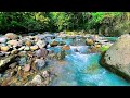Soothing river sounds from the mountains