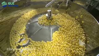 Elemotion Pouch Packaging Machine for corn