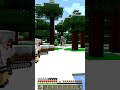 Ho avvistato lo Yeti su Minecraft!