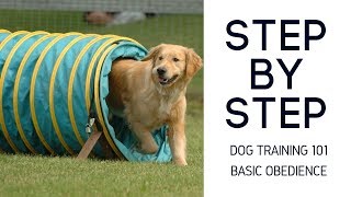 Dog Training 101 Step by Step Basic Obedience How To Train Any Dog The Basics!