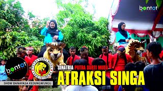 Download Lagu ATRAKSI SINGA - PUTRA SURTI MUDA (PSM) (SHOW DANAYASA KEDUNGWUNGU) - BONTOT RECORDS MP3