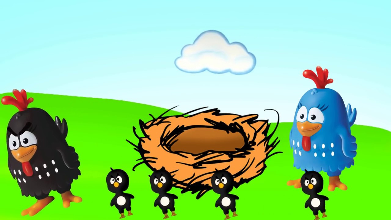 GALINHA PINTADINHA PROCURA PINTINHO AMARELINHO PERDIDO!