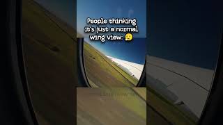 Its Not Just A Normal Wing View...