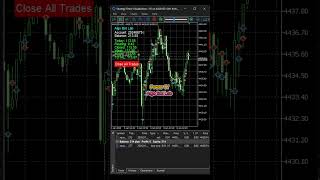 High Accuracy MT5 EA | Automated Forex Trading Strategy