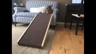 How to: Make a Dog Ramp