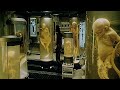 Alien 4 (1997) | Original Alien Part 4 |  Alien Resurrection (1997) Movie Explained in HINDI