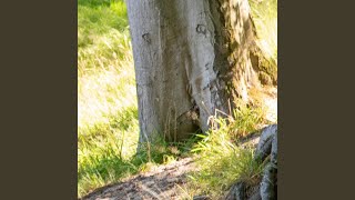 Risalbi Cinta Juga Berjuang