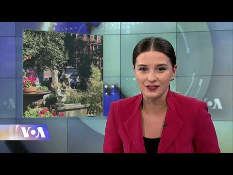 ვაშინგტონი დღეს, 17 ნოემბერი, 2019 წელი