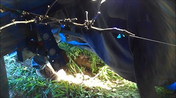 Pruning Overview 2014 3