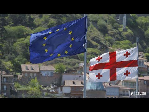 საქართველოს როლი და კანდიდატის სტატუსის მოლოდინი