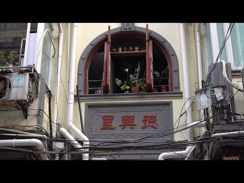 【4K】上海漫步凤阳路&牛庄路街景/Stroll along Fengyang Road and Niuzhuang Road in Shanghai