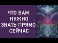 Подсказки от Вселенной. Что мне нужно знать прямо сейчас? Онлайн расклад.