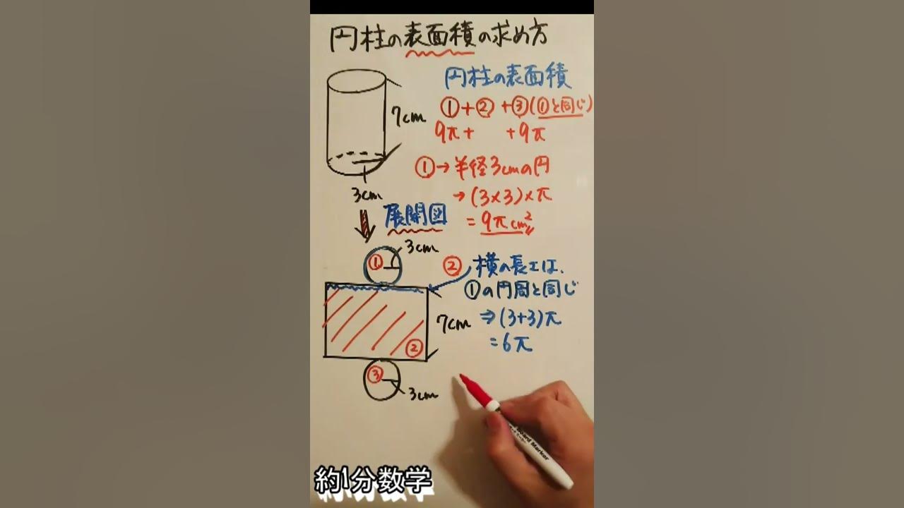 1分数学 円柱の表面積の求め方 Youtube